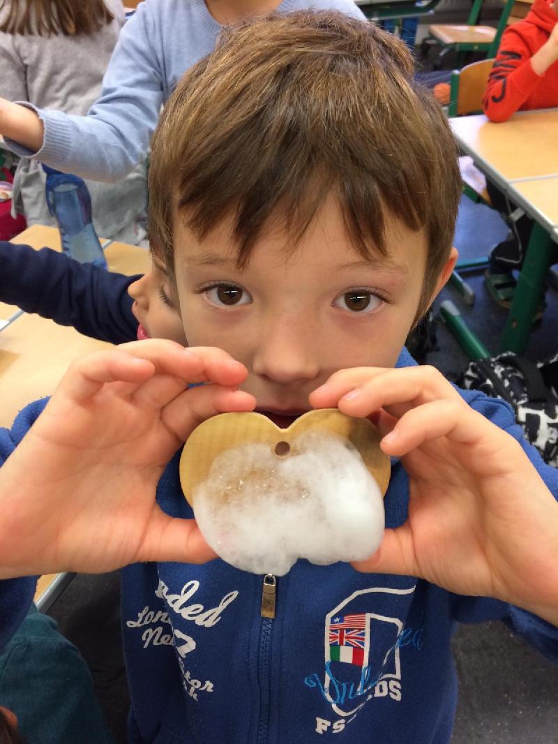 pro:Holz Steiermark – Holz macht Schule