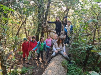 Wanderung