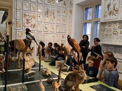 Museumsbesuch  „Wildes Graz“
