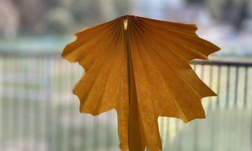 Film ab! Das war unsere „Herbstwoche“!