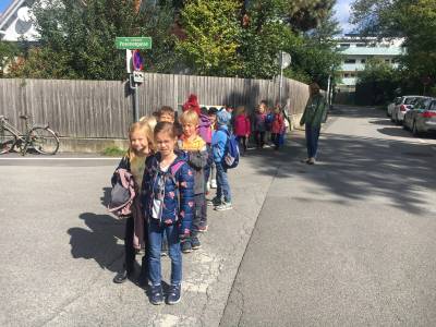 Unser erster Ausflug in den Wald
