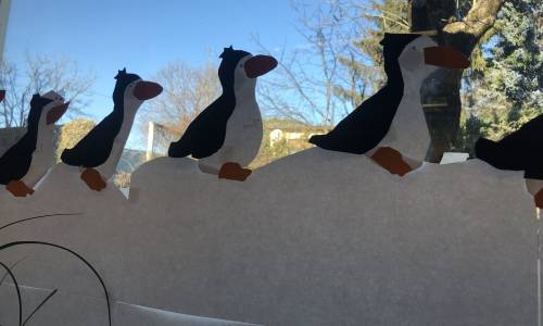 Pinguin-Projekt