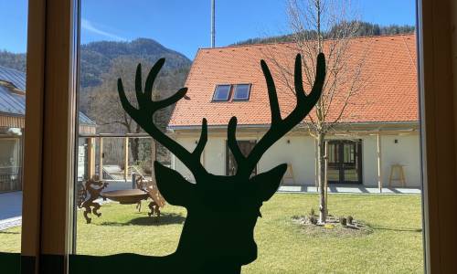 Spiel, Spaß und Spannung bei den Naturwelten Steiermark in Mixinitz