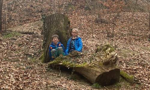 Im Wald