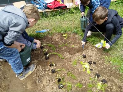 Ackerdemie – Erste Pflanzung 🌱🥕