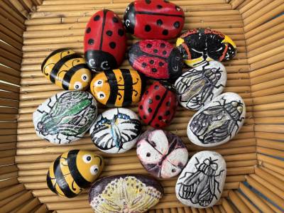 Insektenschützer*innen Workshop bei Natur.Werk.Stadt
