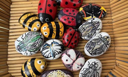 Insektenschützer*innen Workshop bei Natur.Werk.Stadt