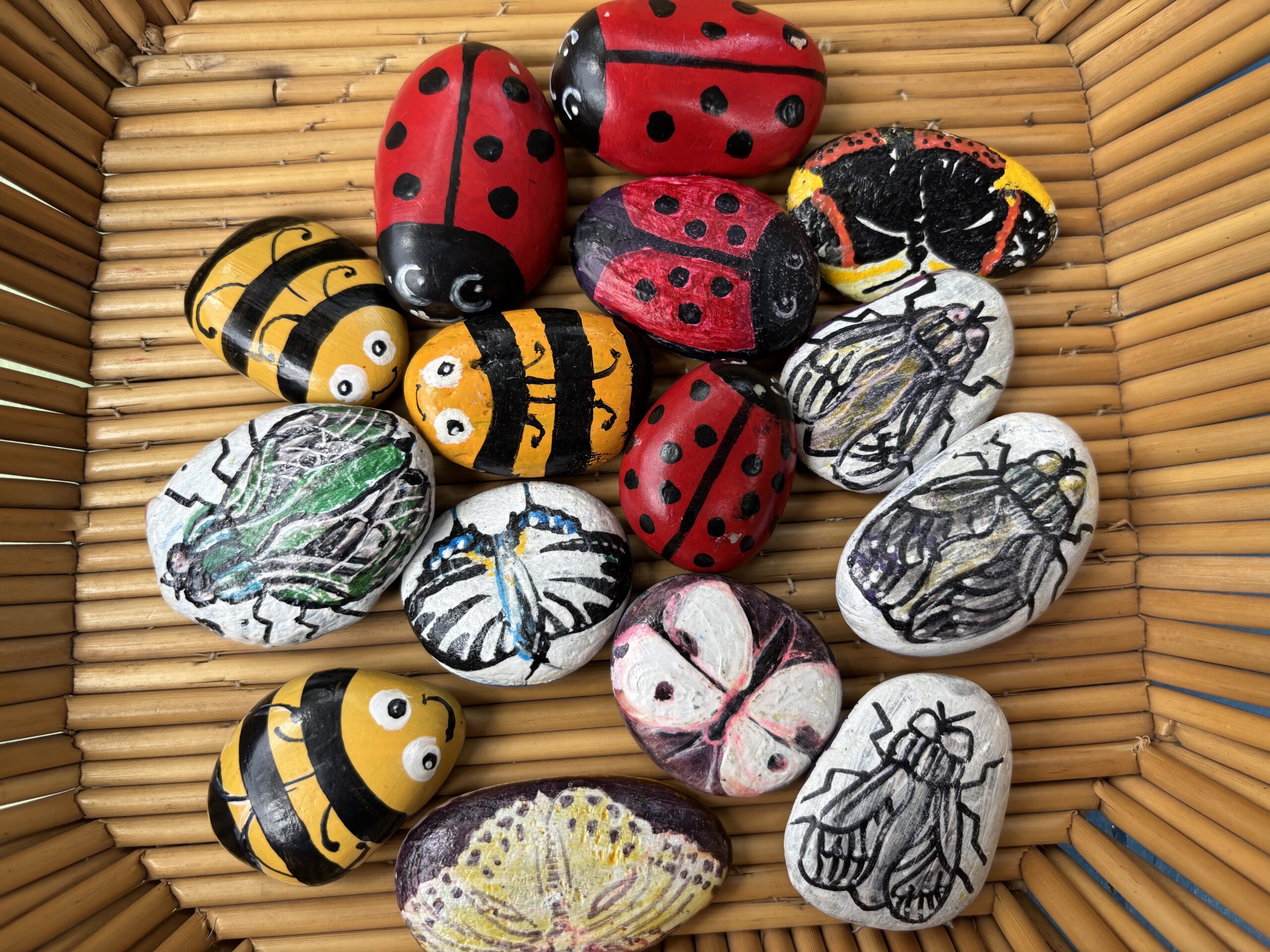 Insektenschützer*innen Workshop bei Natur.Werk.Stadt