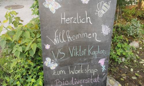 Workshop – Biodiversität erleben