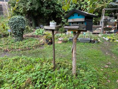 Garten der Wertschätzung