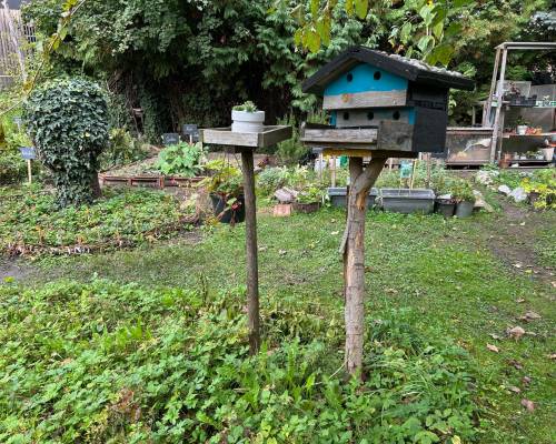 Garten der Wertschätzung