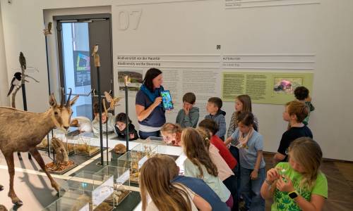 Tricksen – Tarnen – Täuschen