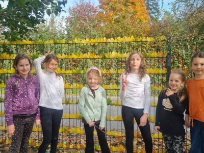 Durch den Herbst mit der Nachmittagsbetreuung