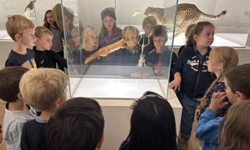 Tricksen – Tarnen – Täuschen