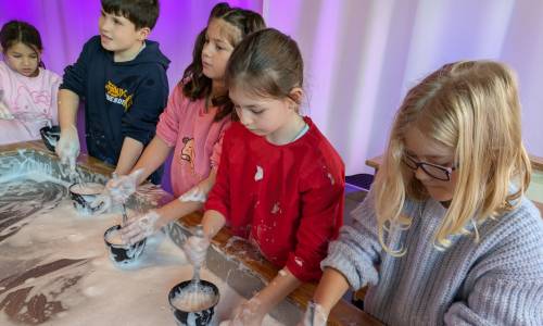 Frida und Fred Museum