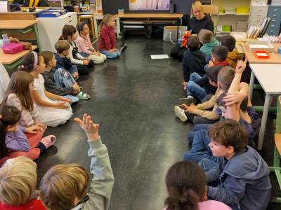 Demokratiebildung mit Polli 🏛️